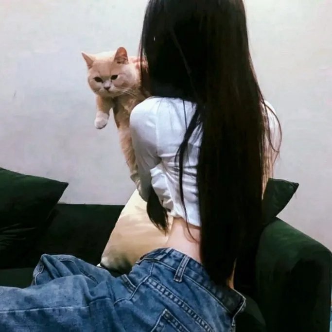 红色康拜因